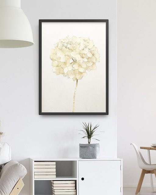 Dry hydrangea