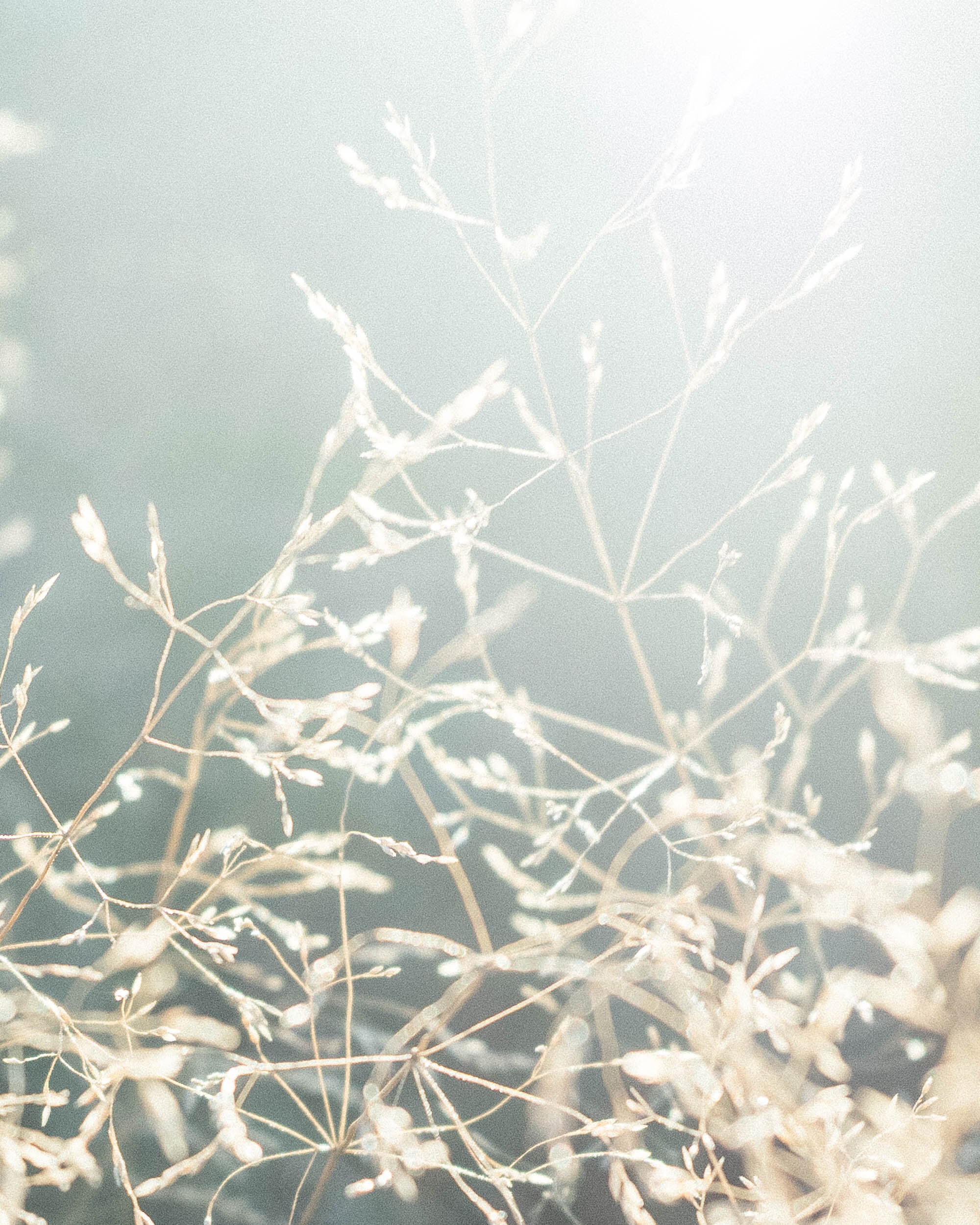 Moment Series