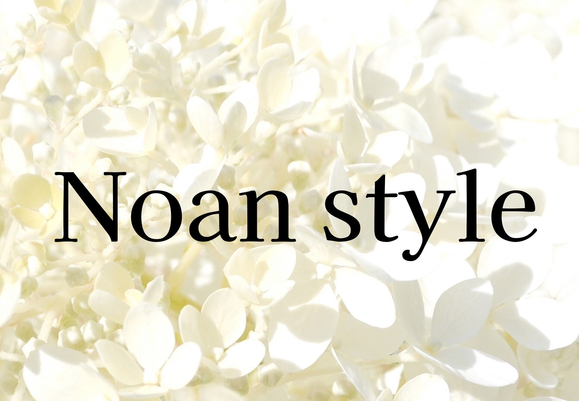 Noan style