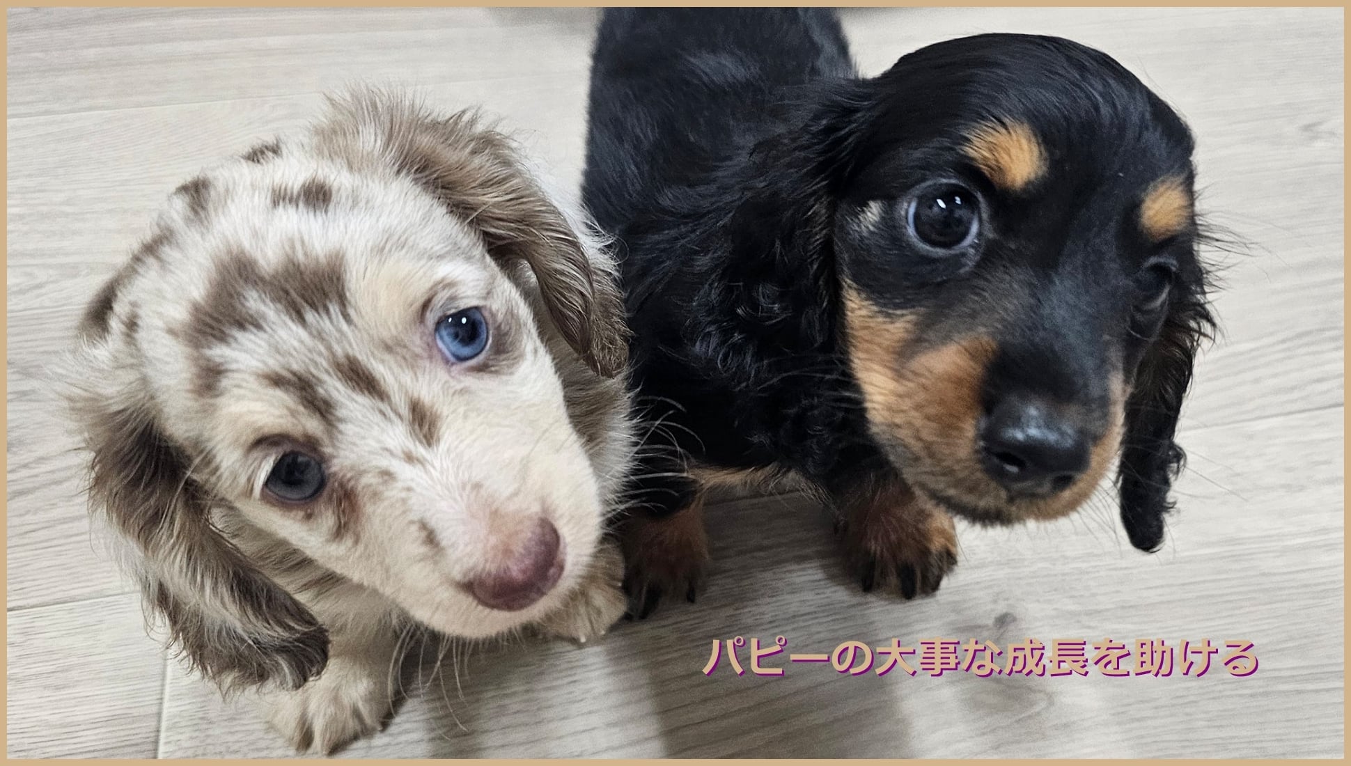 メインビジュアル