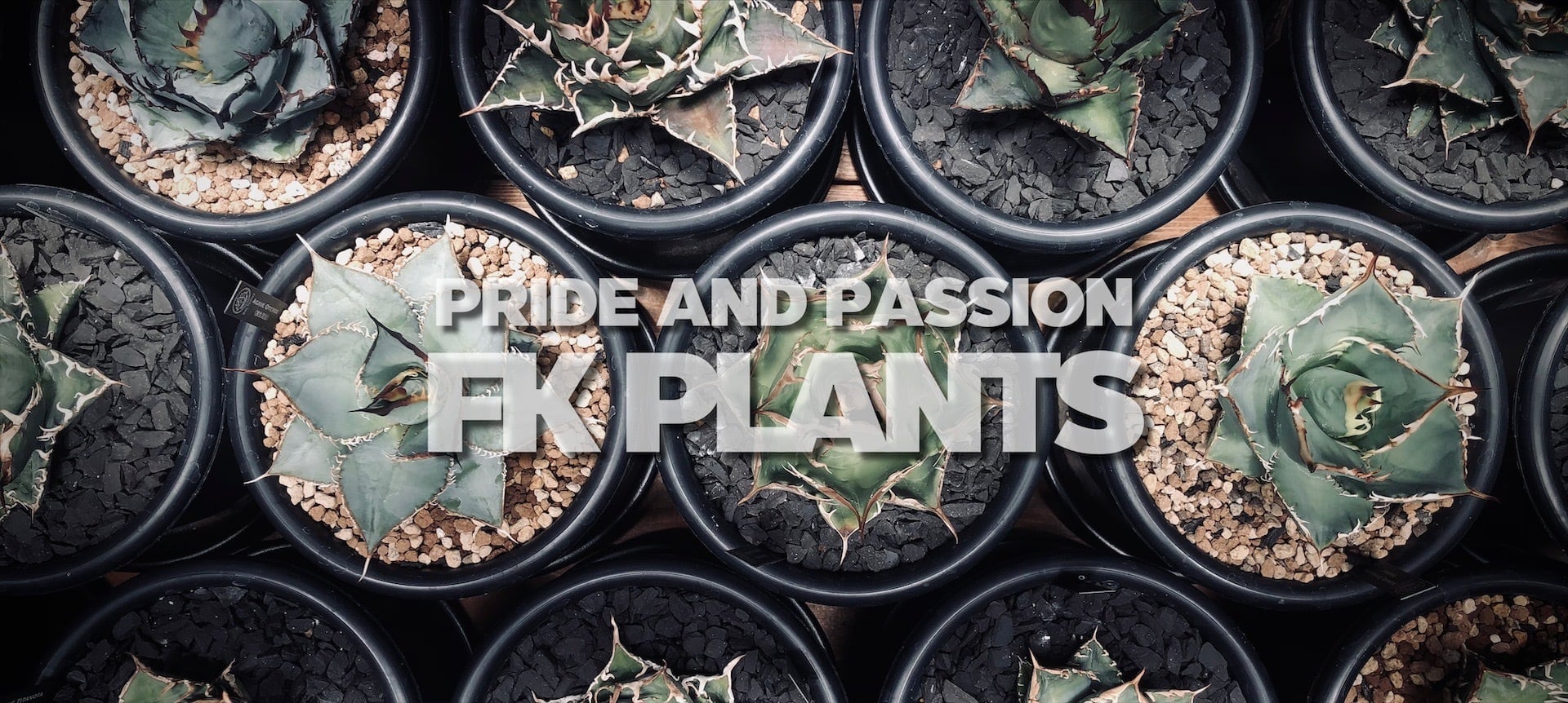 FK PLANTS