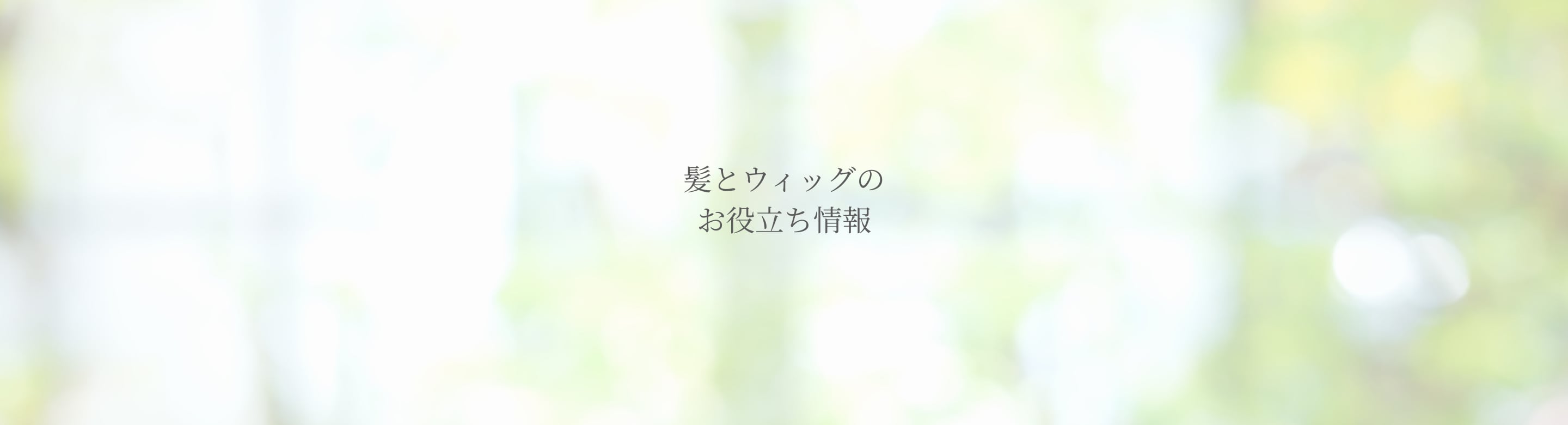 Blog ブログ