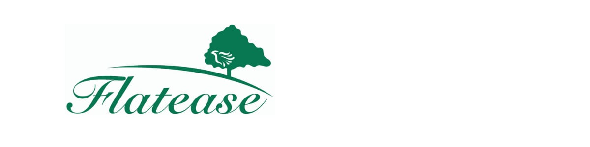 【公式】ウィッグ専門美容室フラッティス