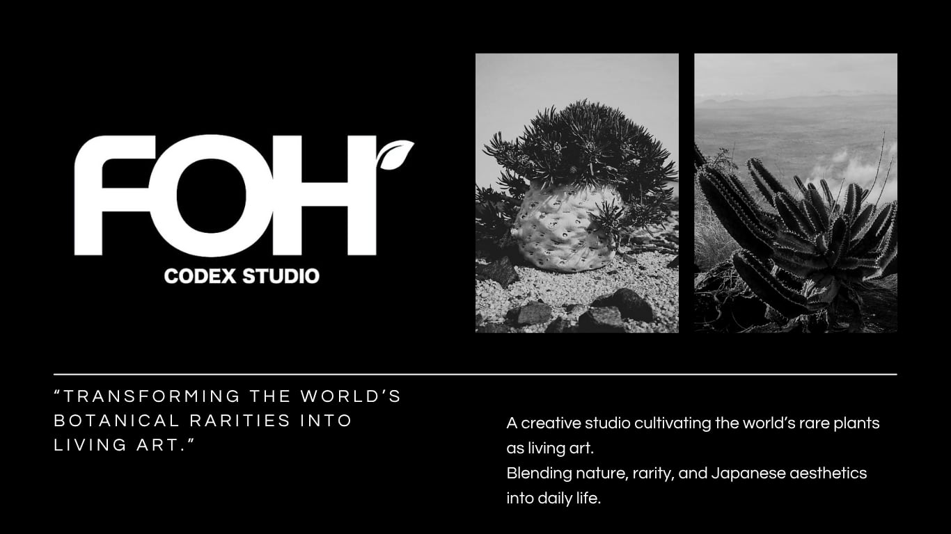 FOH CODEX STUDIO