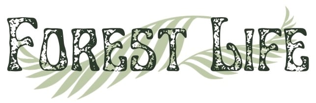 Forest Life