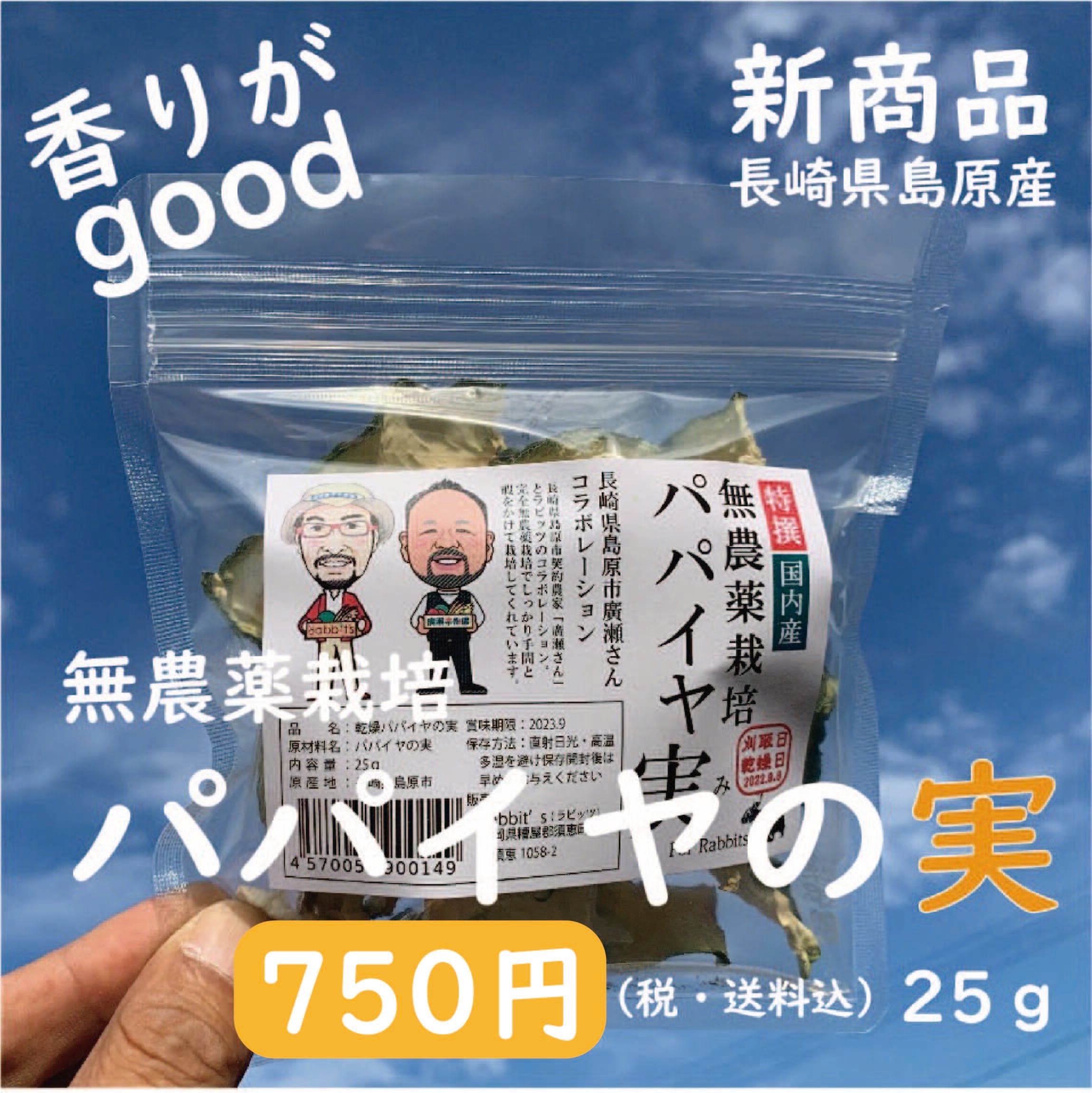 【新商品】無農薬栽培 パパイヤの実20g