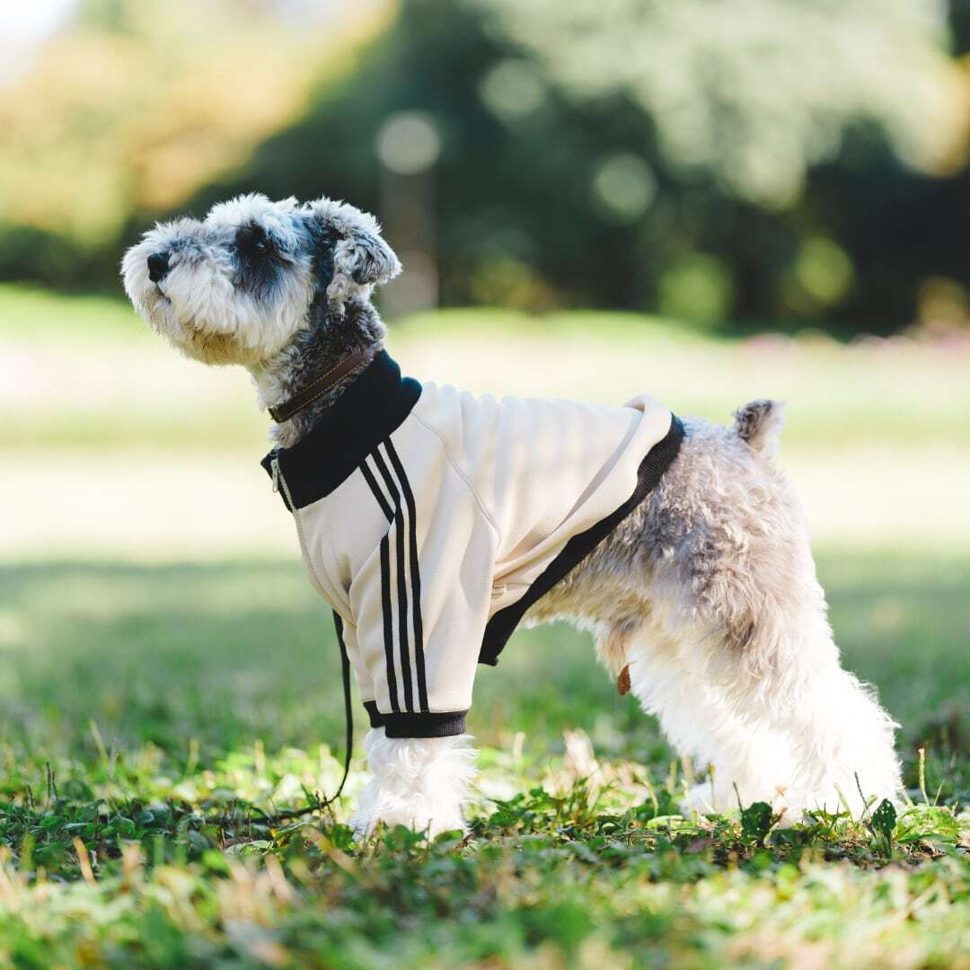 Modern Living Jersey