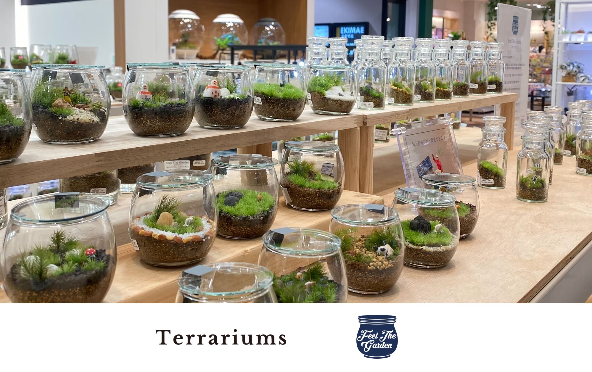 SHOP LIST | 苔テラリウム専門店Feel The Garden