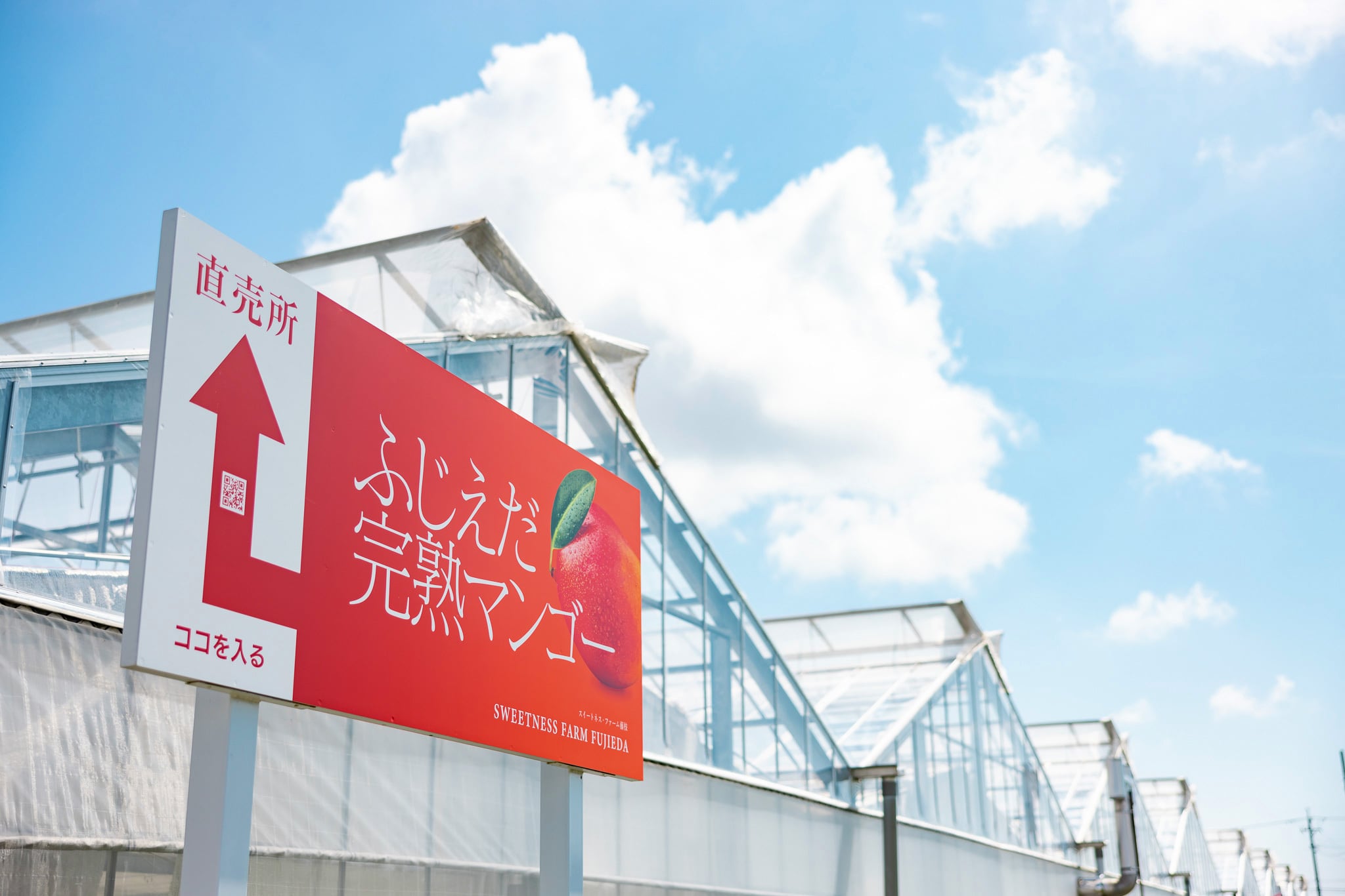 ふじえだ完熟マンゴー【通販】｜公式オンラインストア