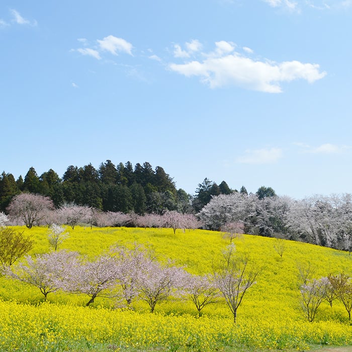 益子町