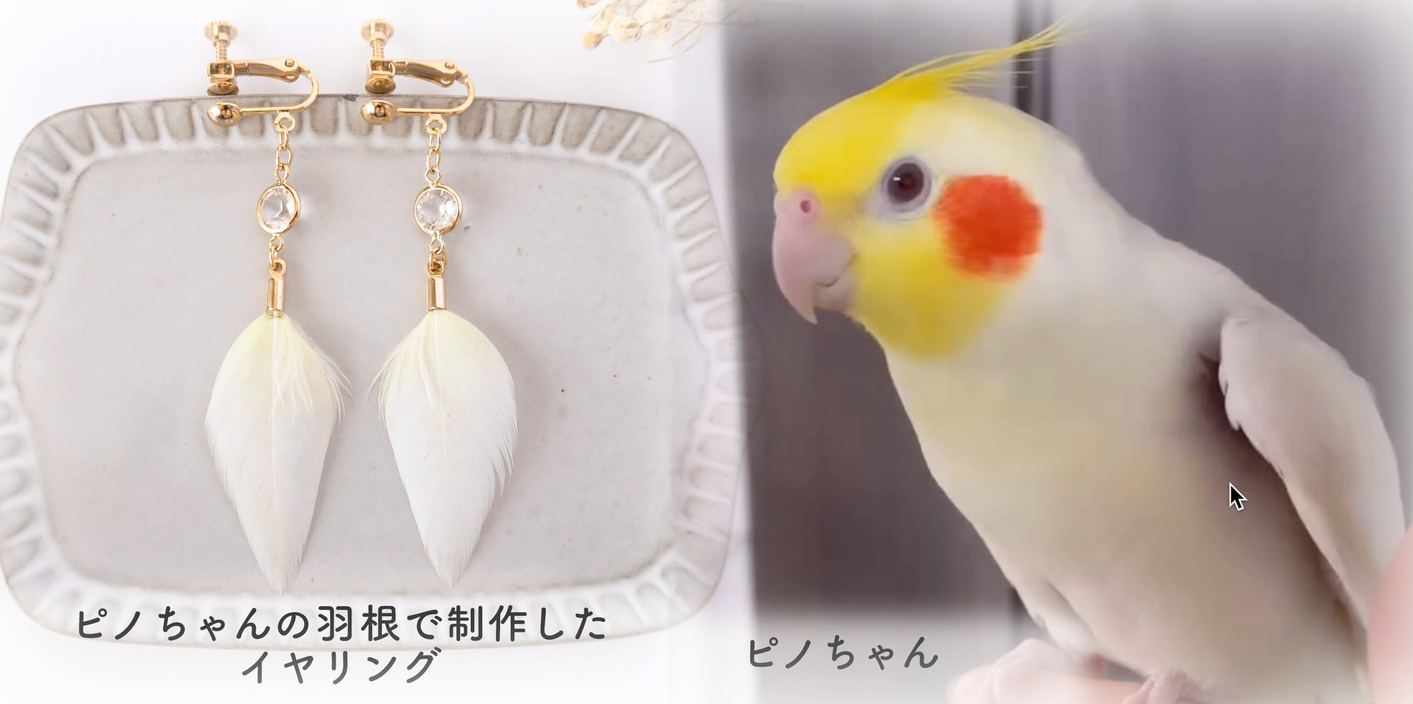 ふわり羽根工房 【本店】|| インコ・文鳥など愛鳥さんの羽根で世界で一
