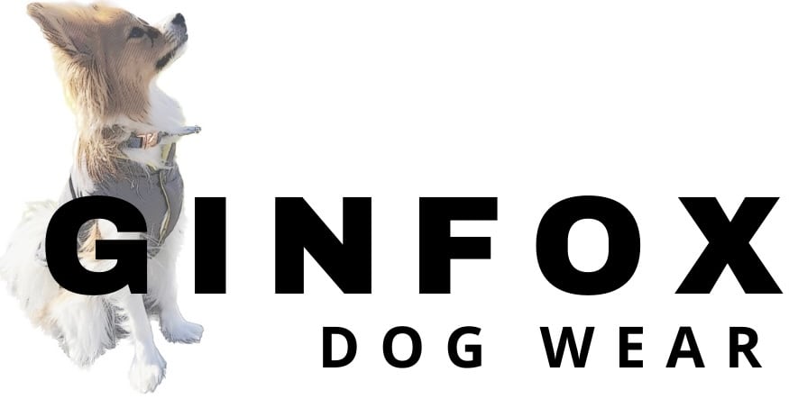 GINFOX 