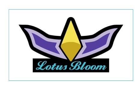 【硬式グラブ専門店】Lotus Bloom｜信頼の工場直販ブランド
