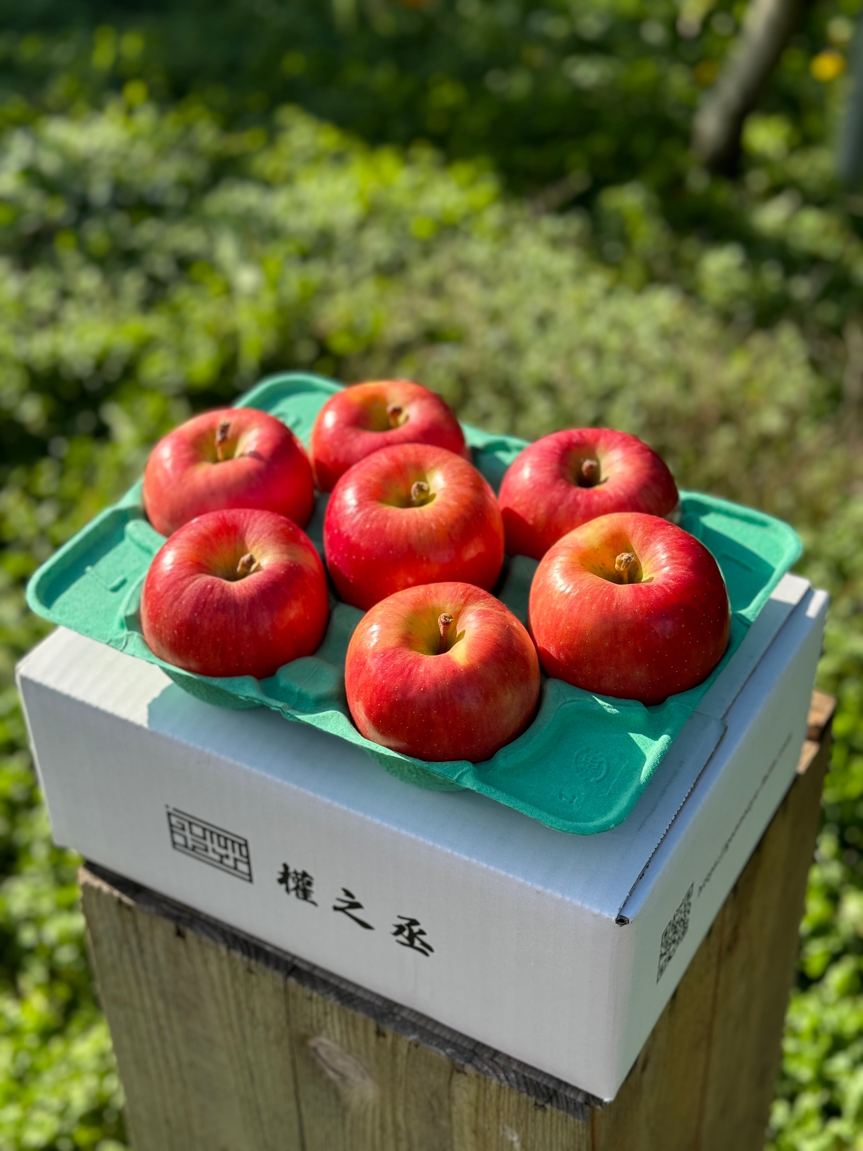 ご購入はコチラから