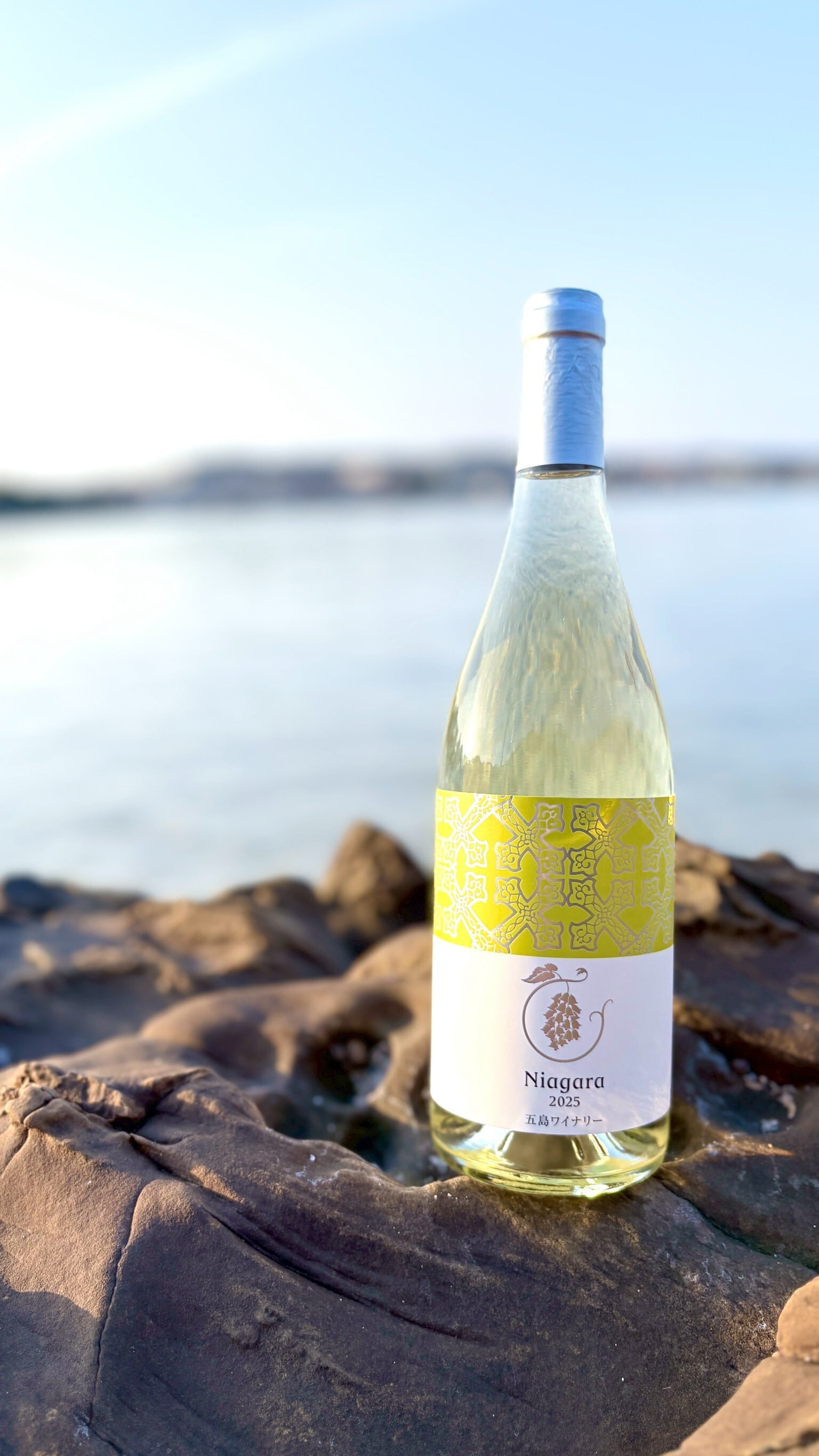 ワイン　５本　まとめ売り 十勝ワイン 町民用ロゼ6本セット 辛口 キャンベル種 国産ワイン 北海道