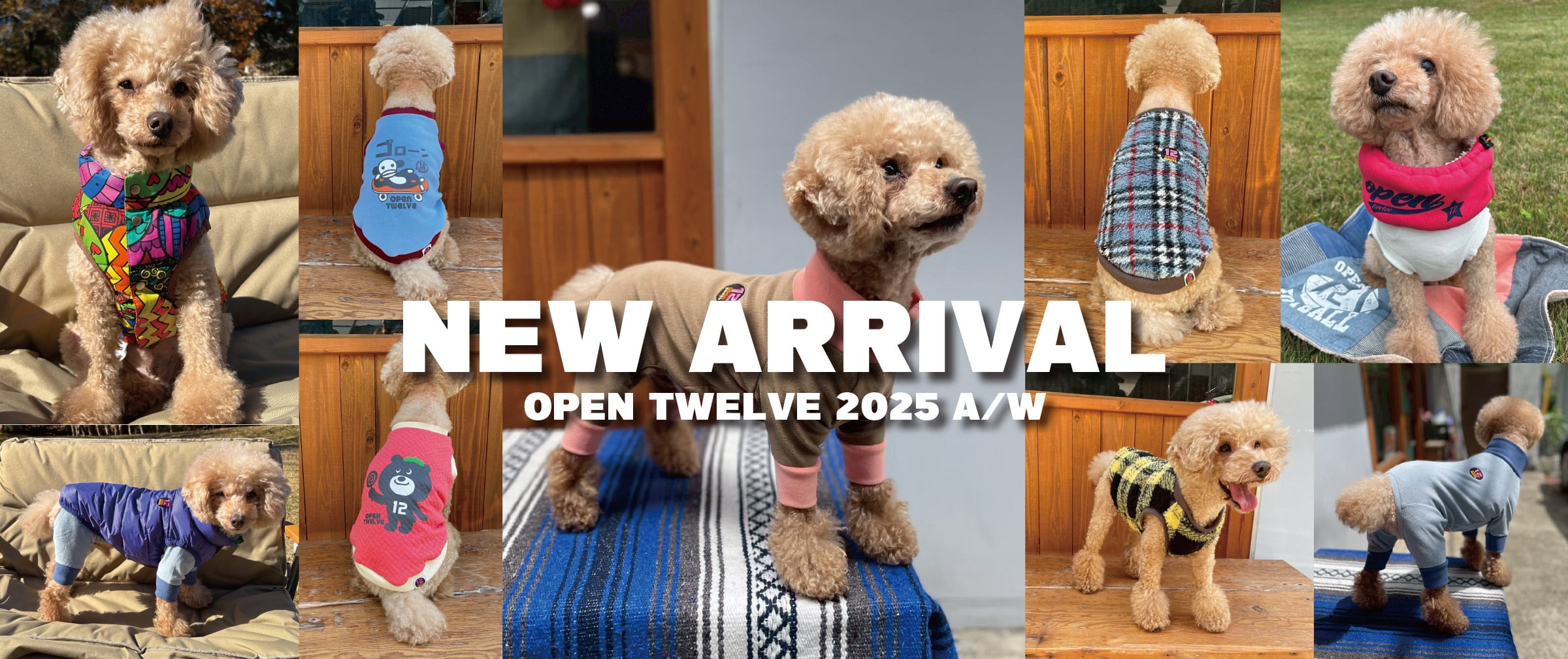 大人気モモンガ風☆着る寝袋☆新品未使用Sサイズ、紺色、男性や女性