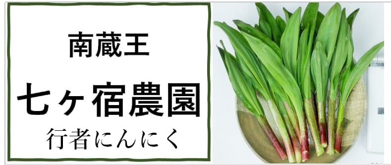 行者ニンニク　takaページ 行者ニンニク taka様専用ページ （天然行者にんにく250g✖︎2