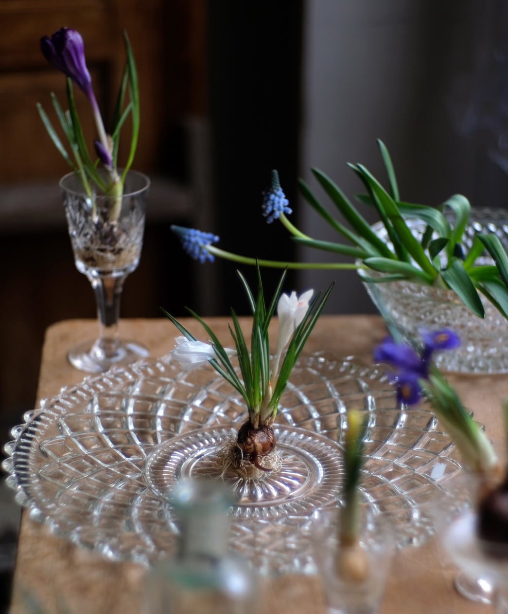 はいいろオオカミ＋花屋西別府商店