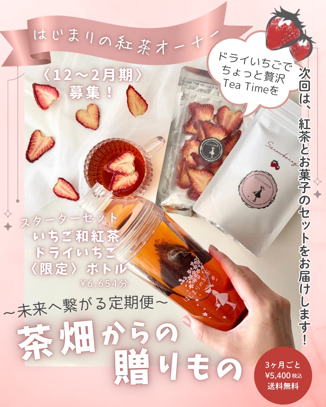 <br>
<br>
初回スターターセット<br>
季節に合わせてリューアル
<br>
<br>