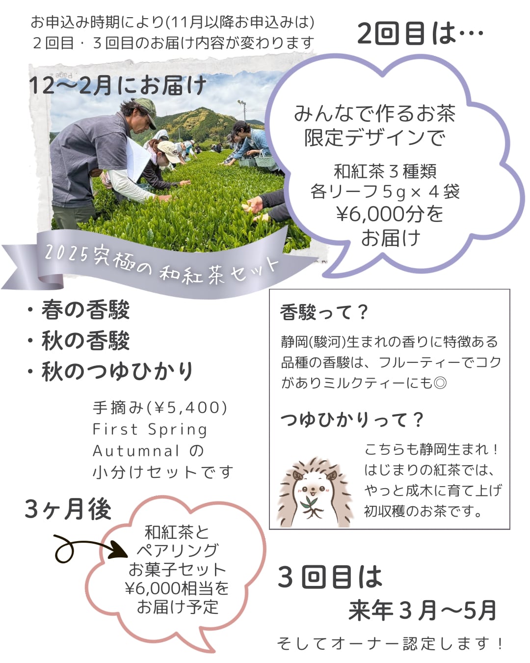 <br>
<br>
飲み比べという<br>
楽しみ方をお届けします
<br>
<br>