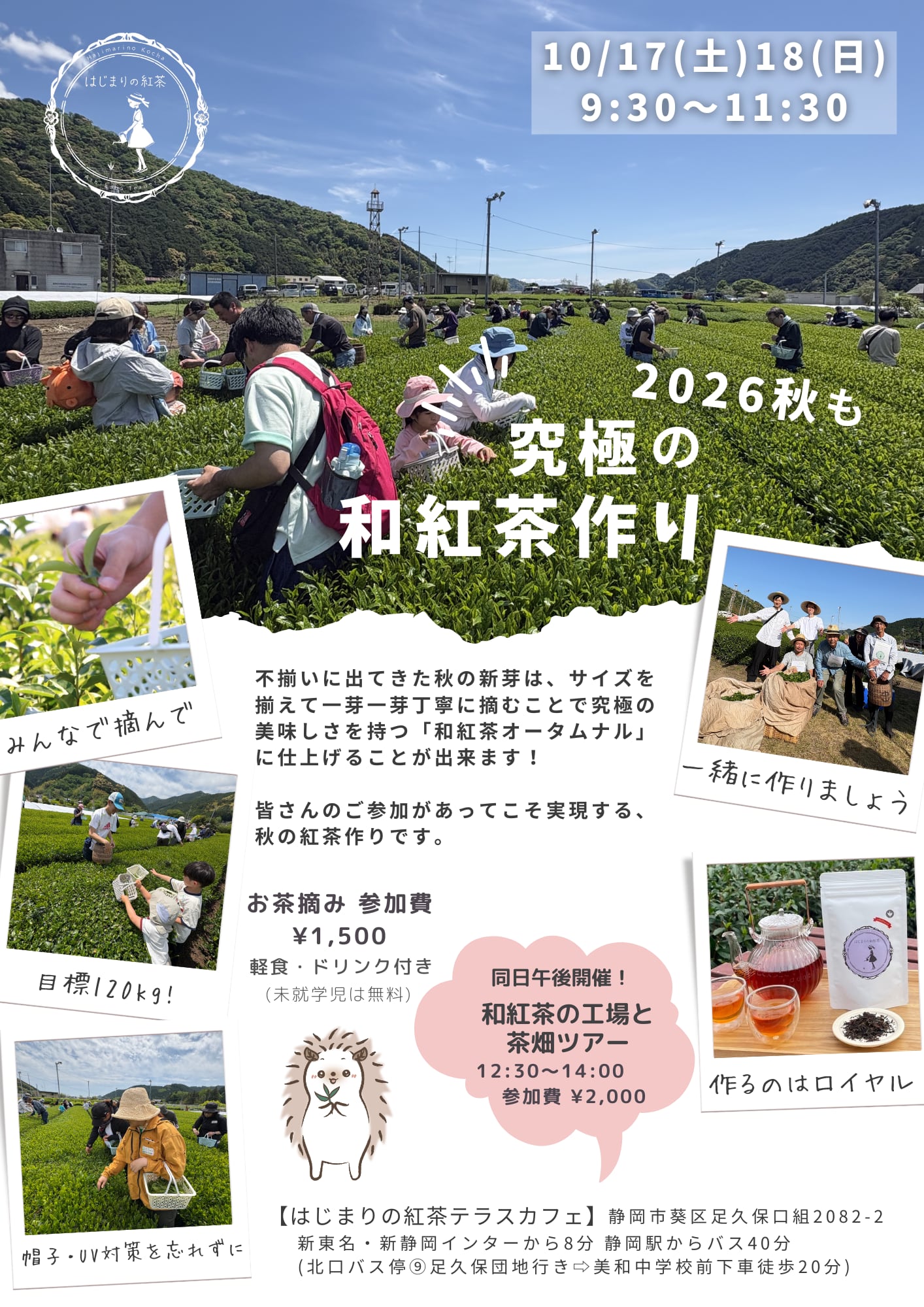 お茶摘み募集【10/17(土）18(日)】究極の和紅茶《 ロイヤルAutumnal 》作り🌱✨
 