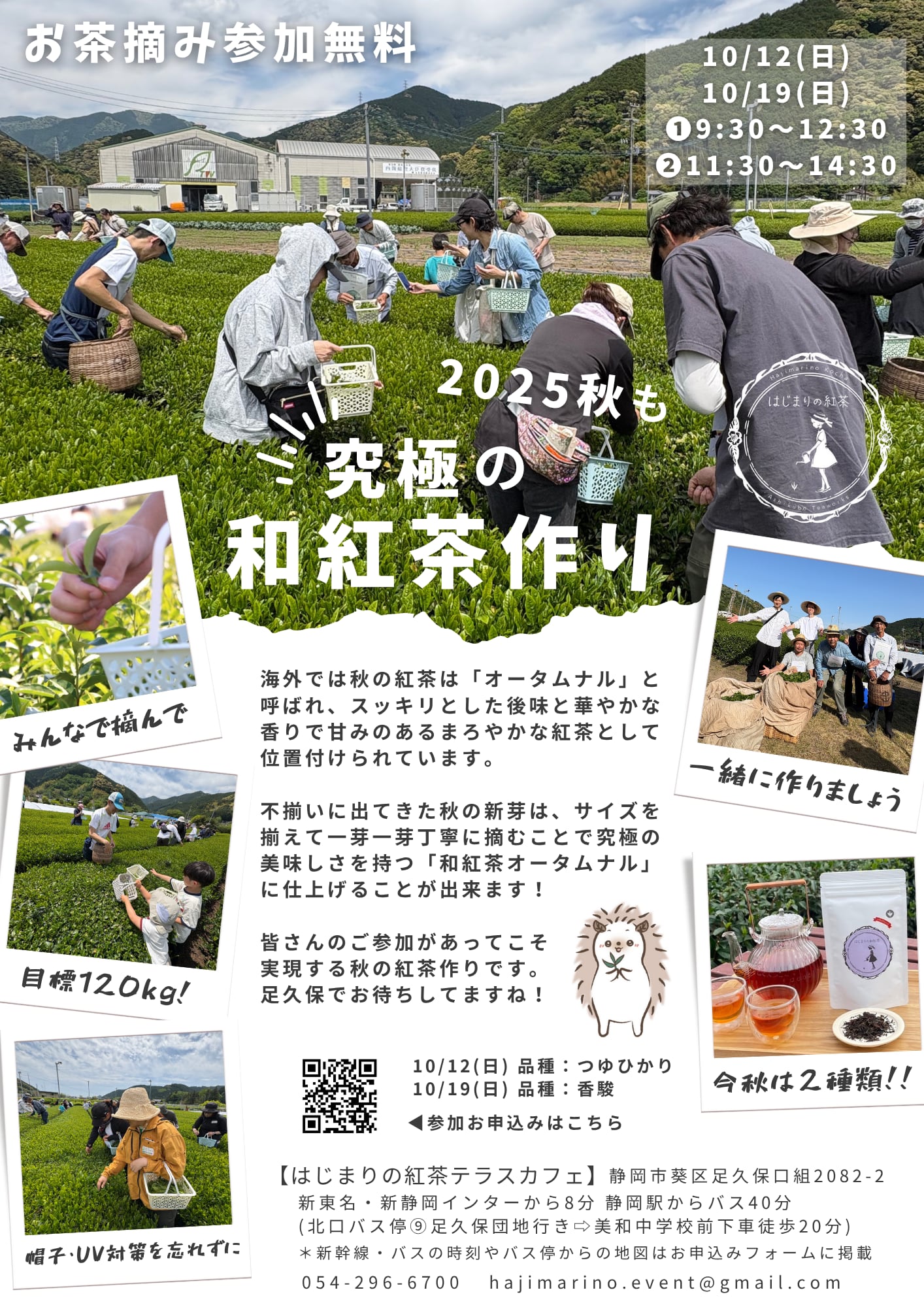 <br>
10/12(日)19(日)お茶摘み募集<br>
<br>
