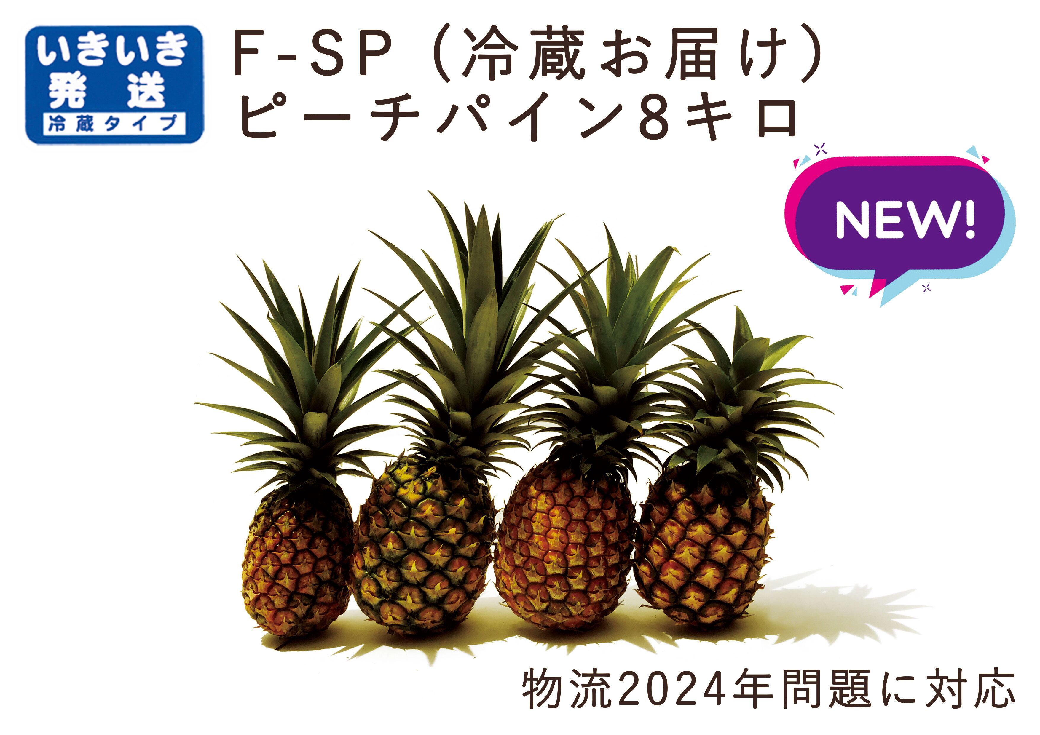 沖縄県産 青マンゴー 箱込み10キロ ねむ 