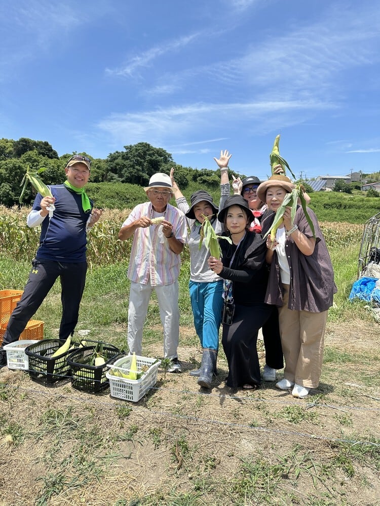 コーンの収穫体験イベント開催中