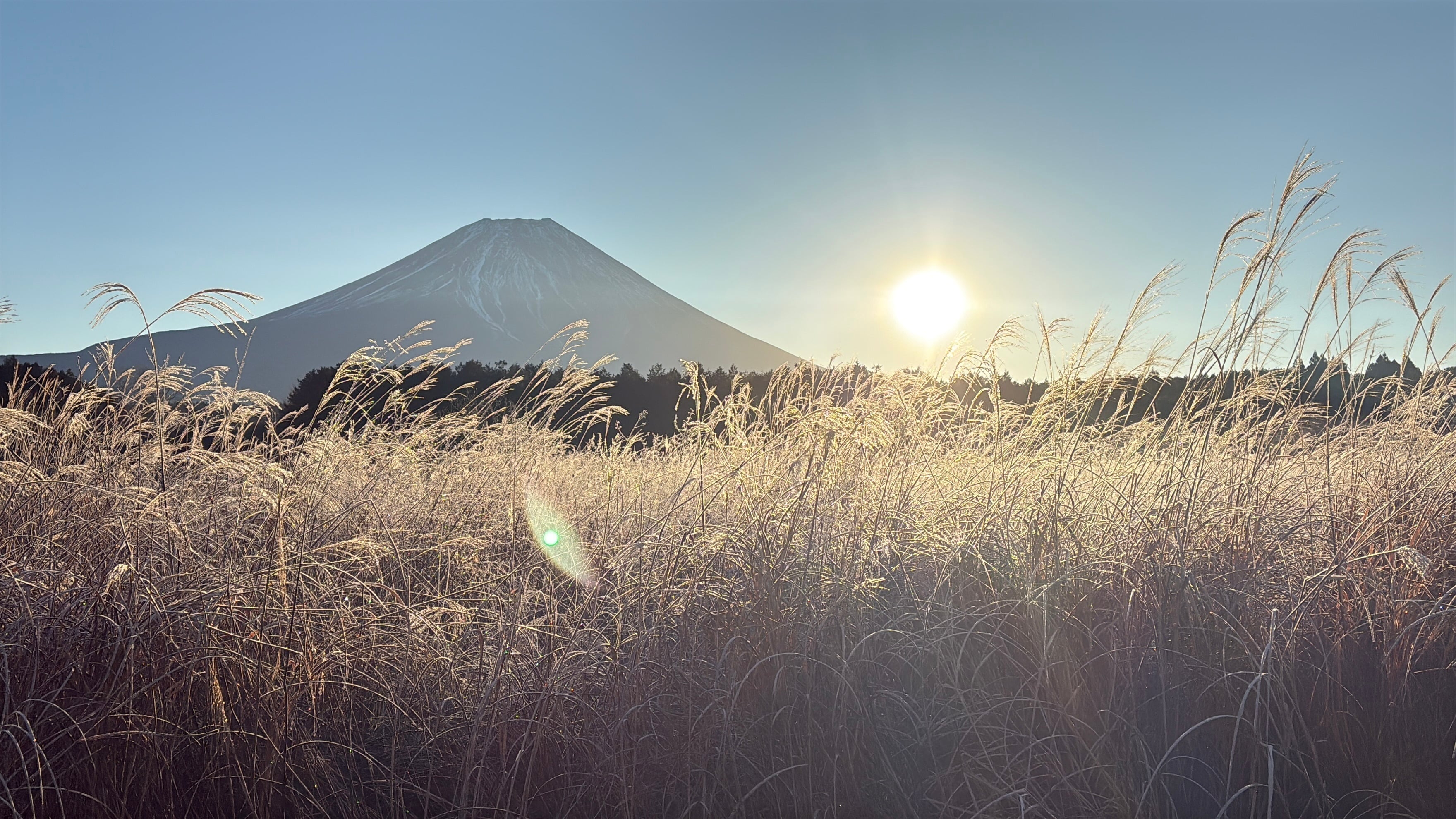 トレーニングは一日で完成するものではなく、確認し、修正し、また積み上げていくもの。