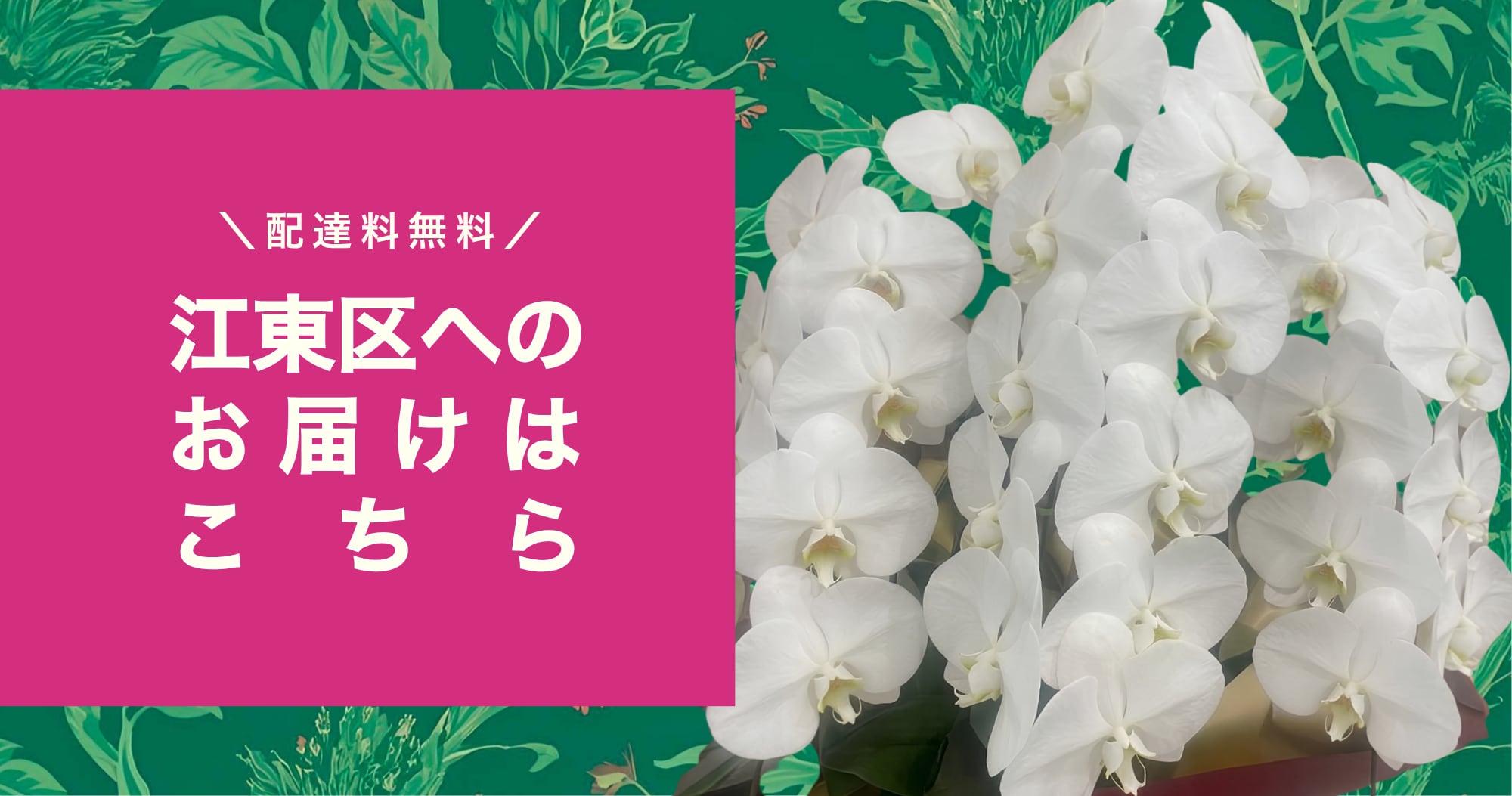 メインビジュアル