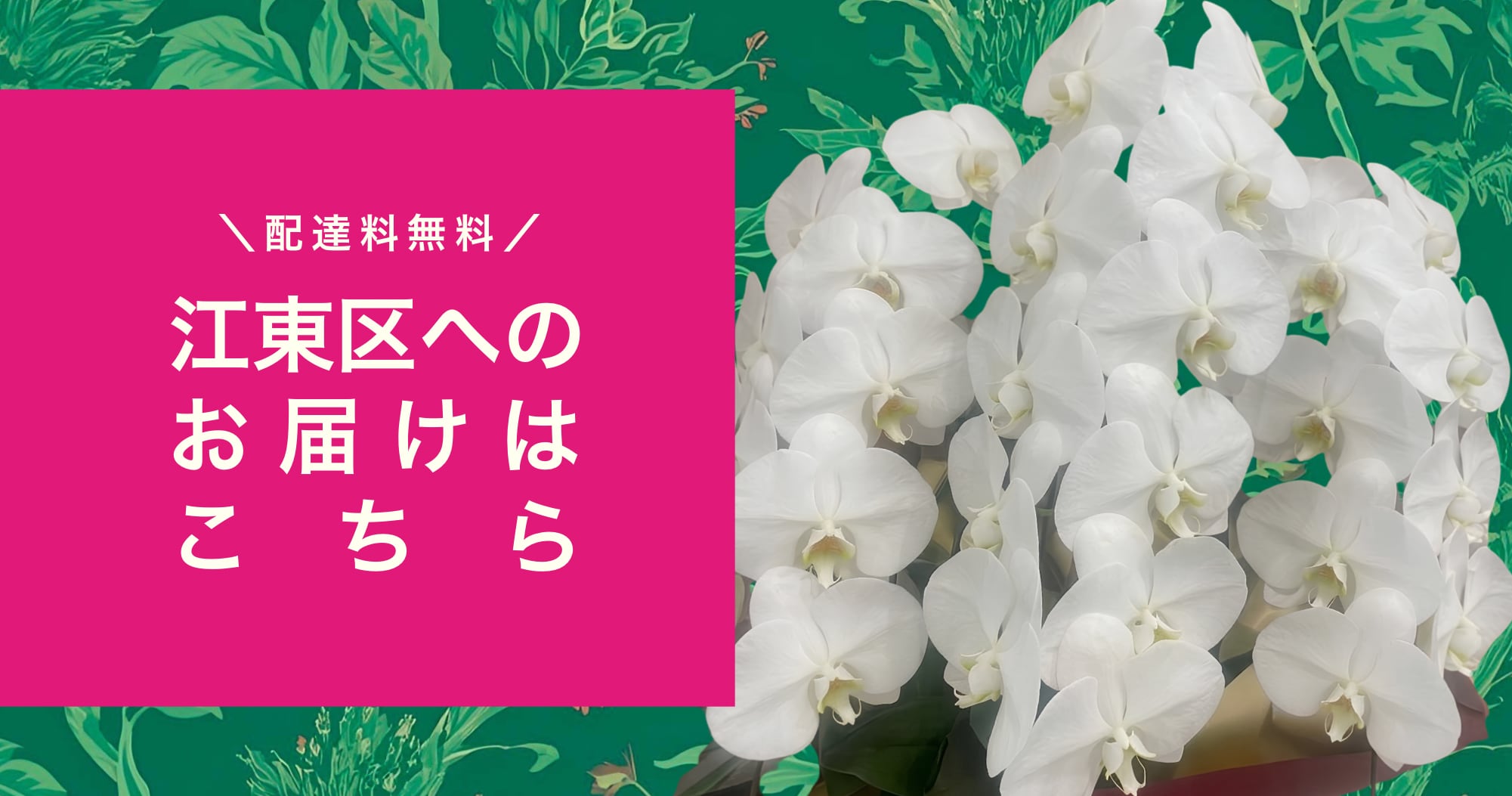 メインビジュアル