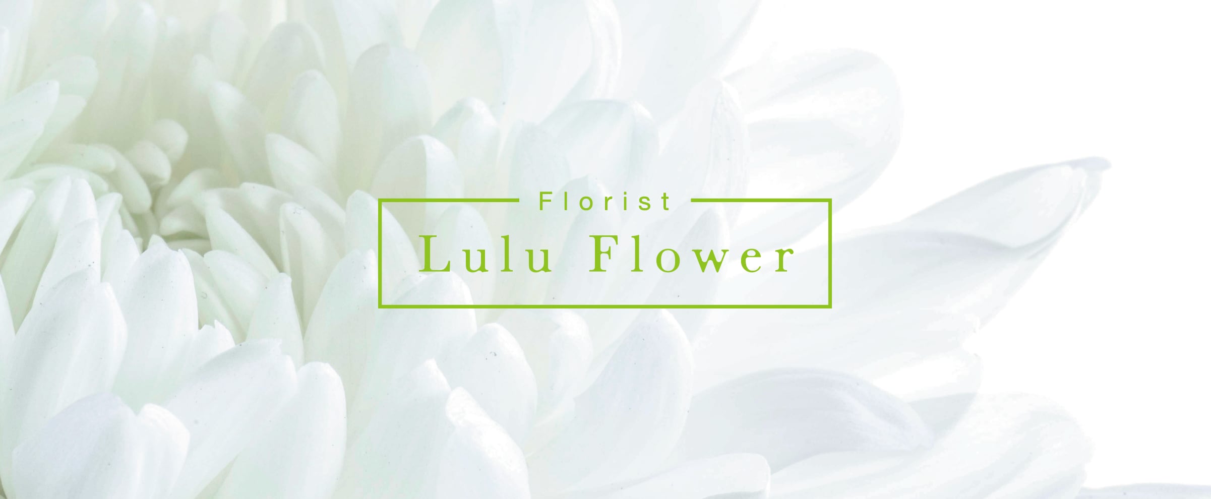 Lulu Flower　大阪の花屋｜スタンド花 ｜フラスタ｜胡蝶蘭｜