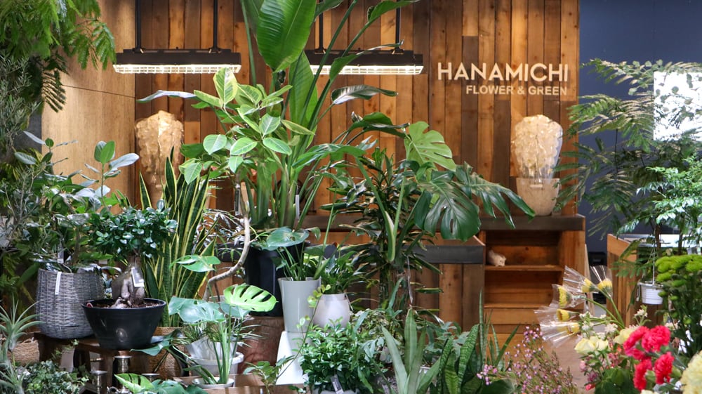 フラワーギフト HANAMICHI（ハナミチ）