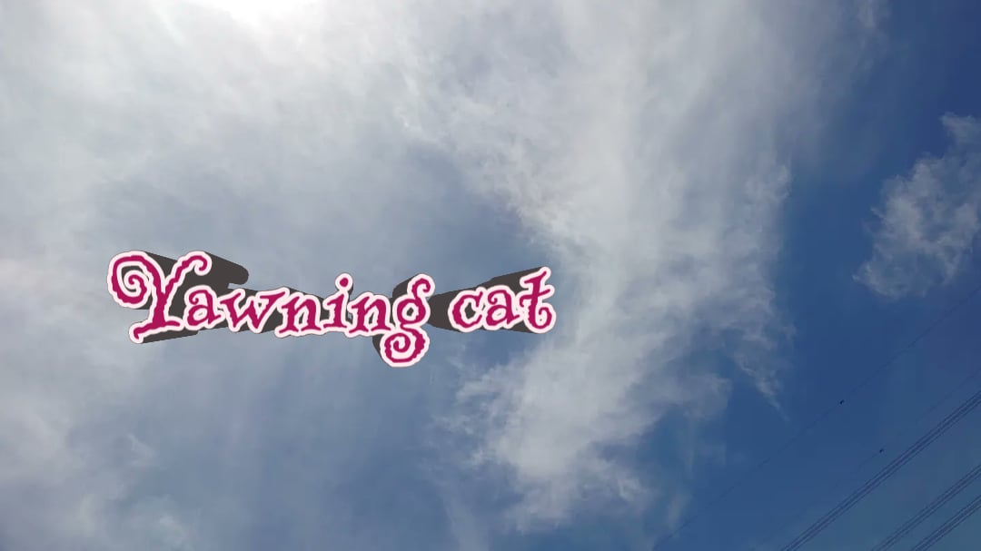 手作りアクセサリー yawning  cat