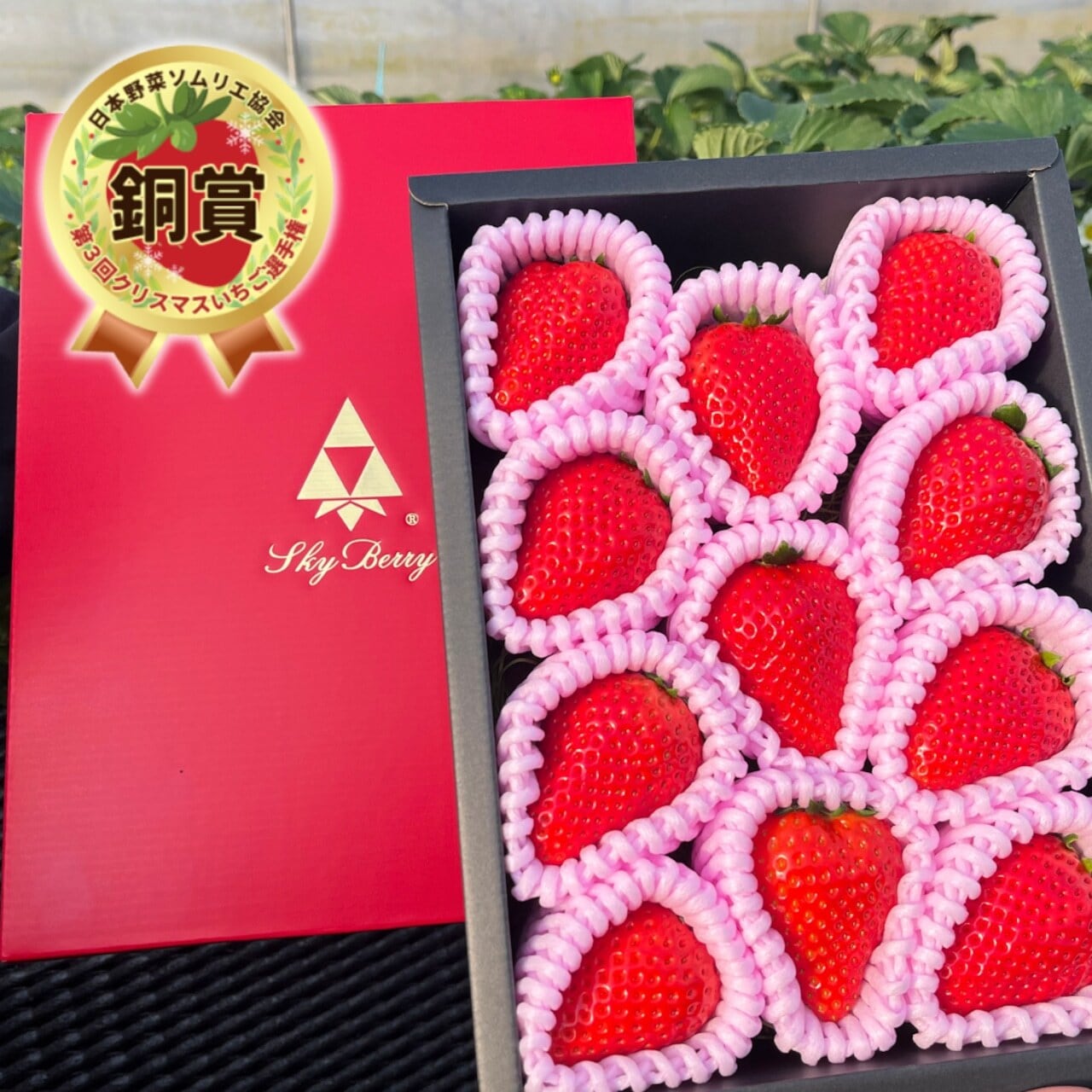 【3月31日お届け分まで】原宿ベリーの大粒いちご(450g)