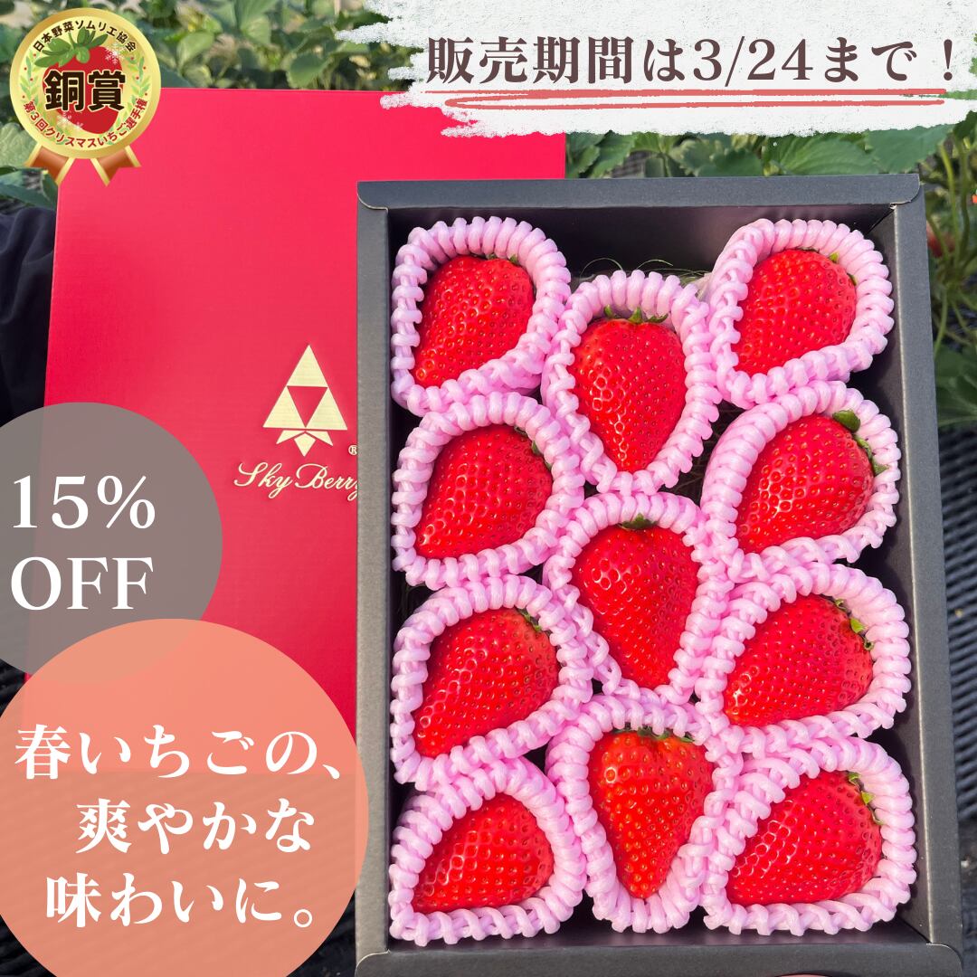 【3月31日お届け分まで】原宿ベリーの大粒いちご(450g)