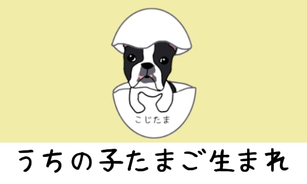 Haruyo.koi878様専用】セット harukojishop うちの子グッズ屋さん☆