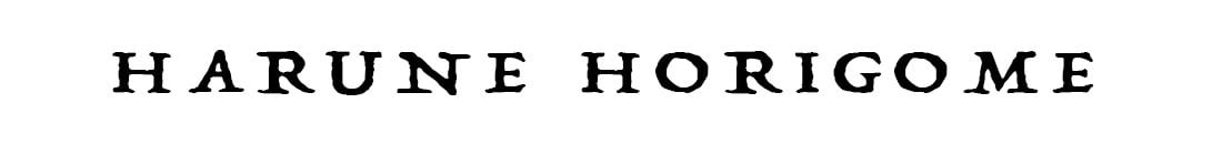 HH WONDER SHOP