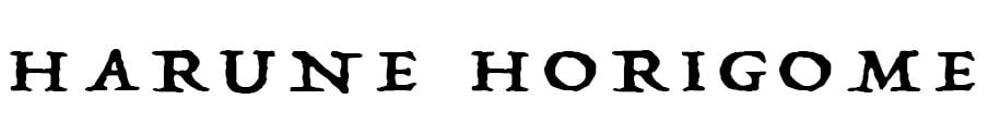 HH WONDER SHOP