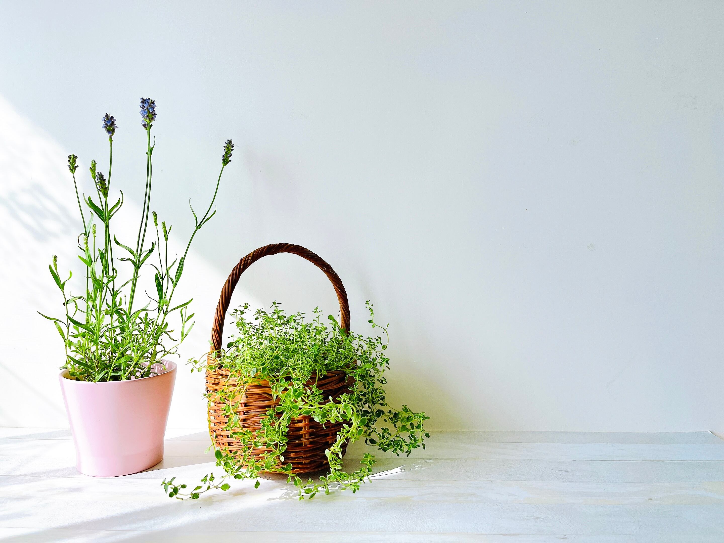 返品・交換についての補足画像