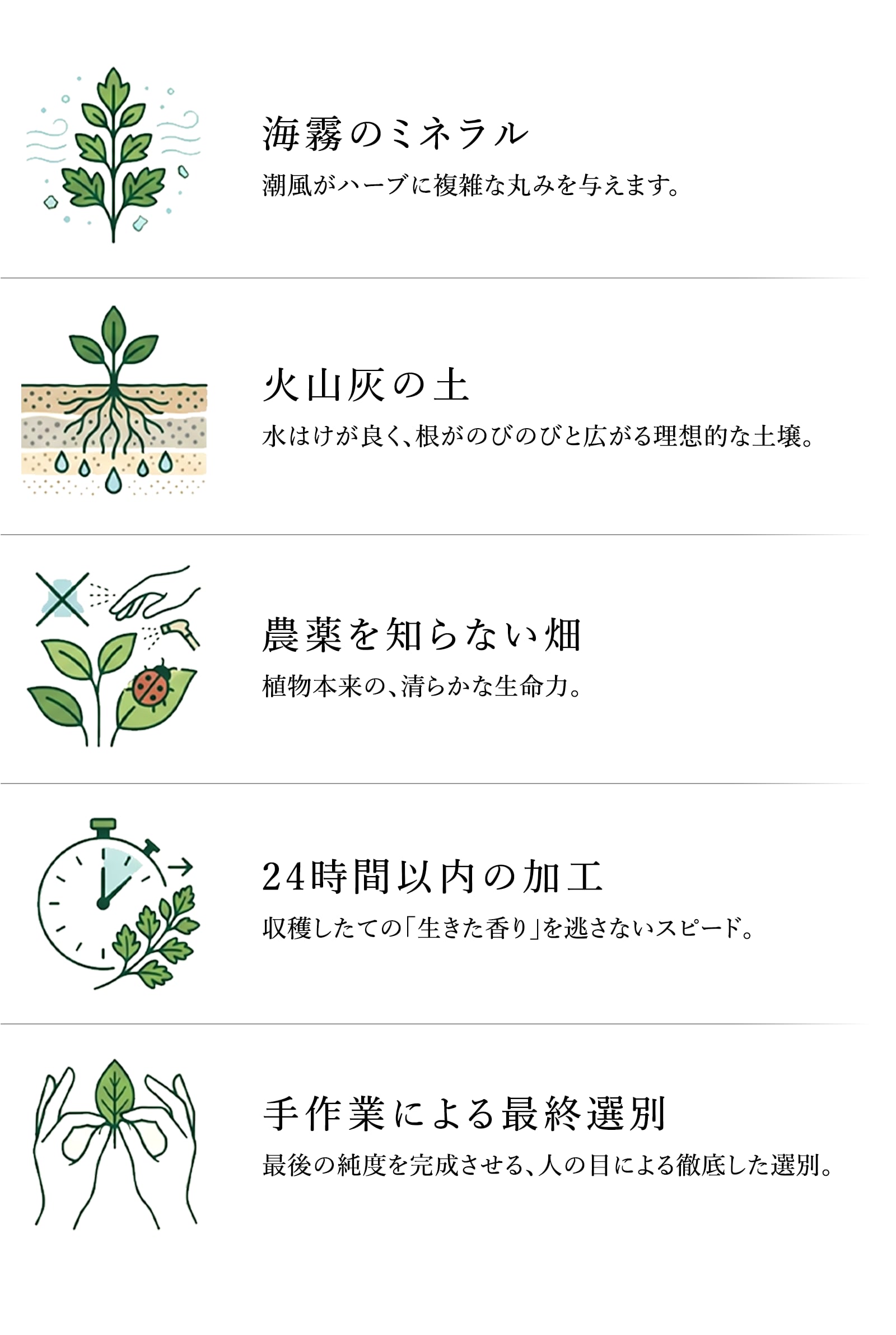 能登テロワール、5つの奇跡