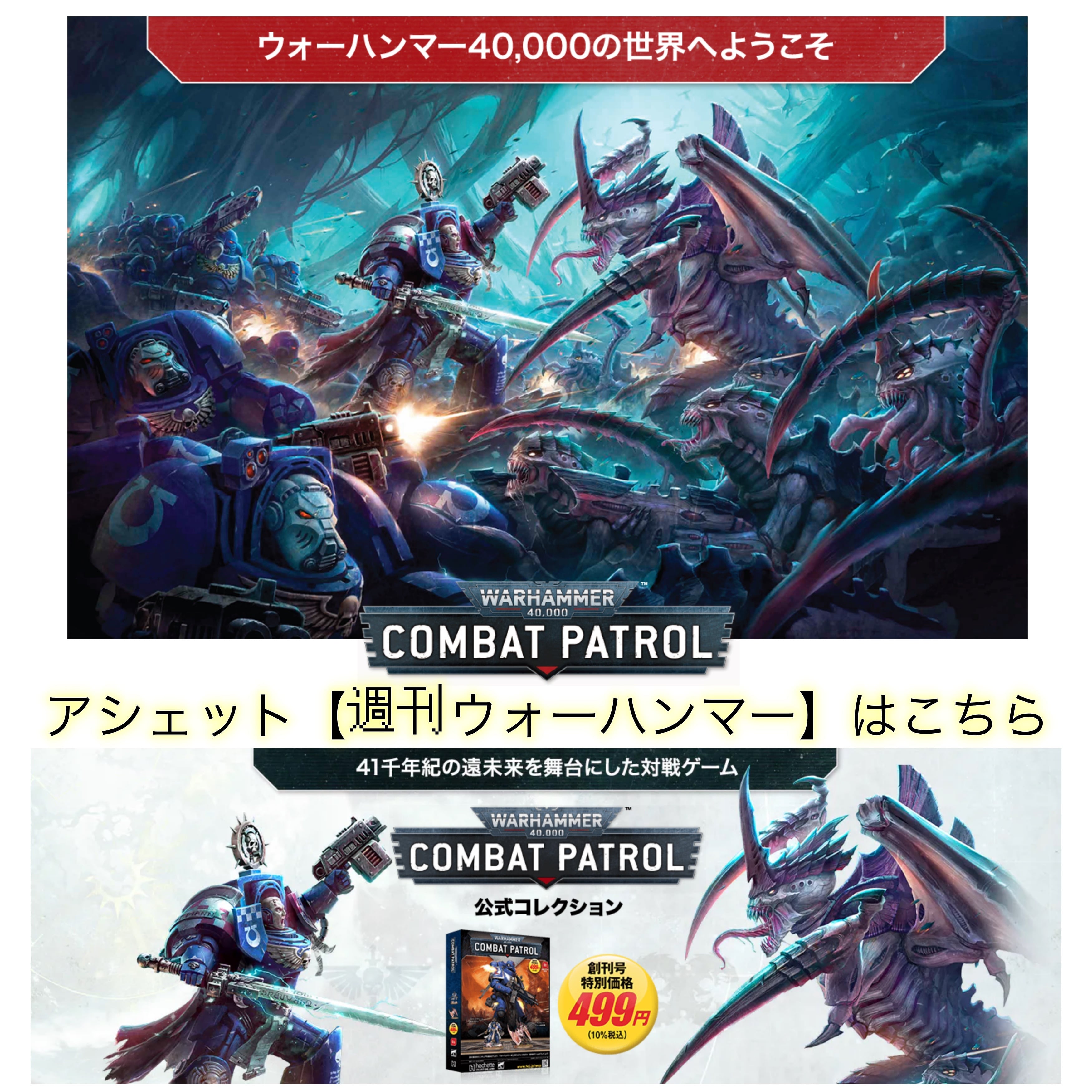 ウォーハンマー　ネクロン　リッチーガード5体セット塗装済み。ケース付き。 ウォーハンマー ネクロン リッチーガード5体セット塗装済み