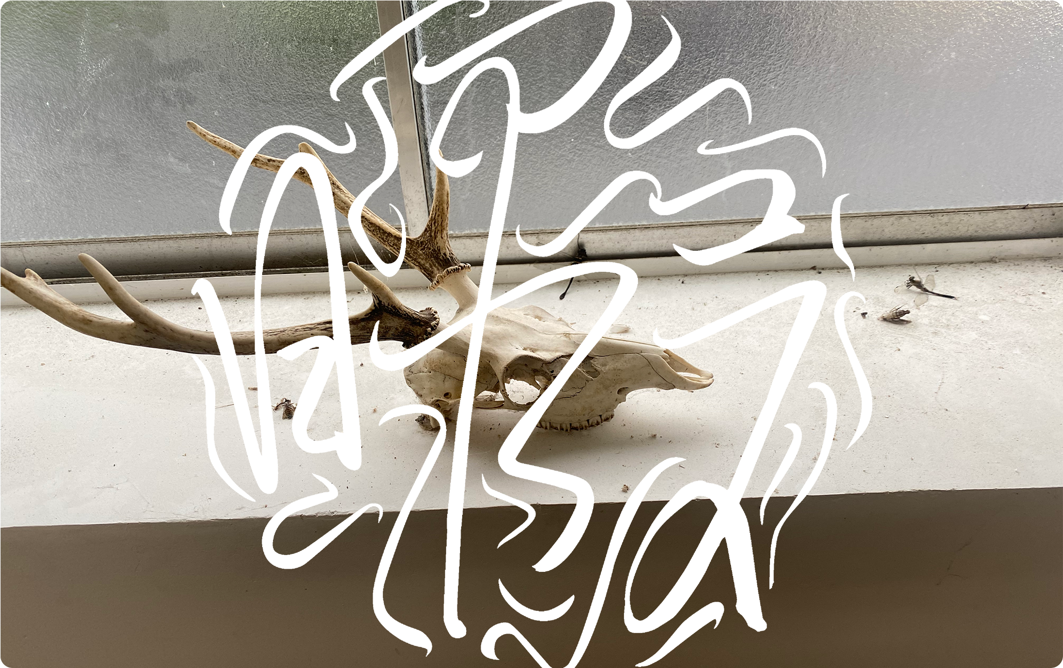 聖飢魔通販-Psydeliya-