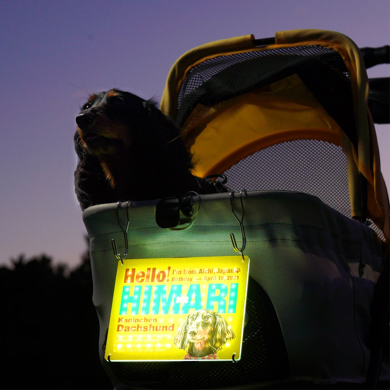 光る!カートプレート