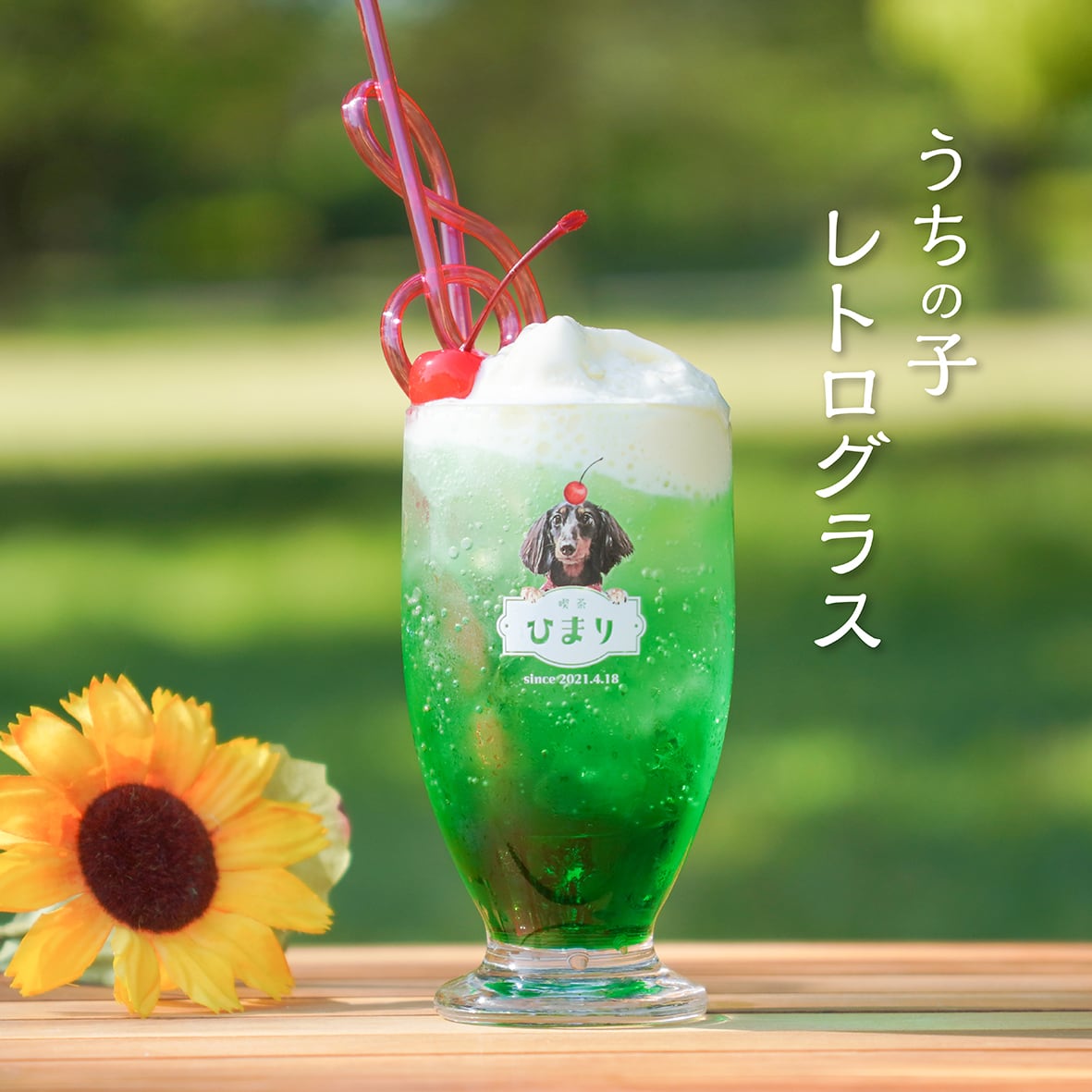 うちの子 レトログラス