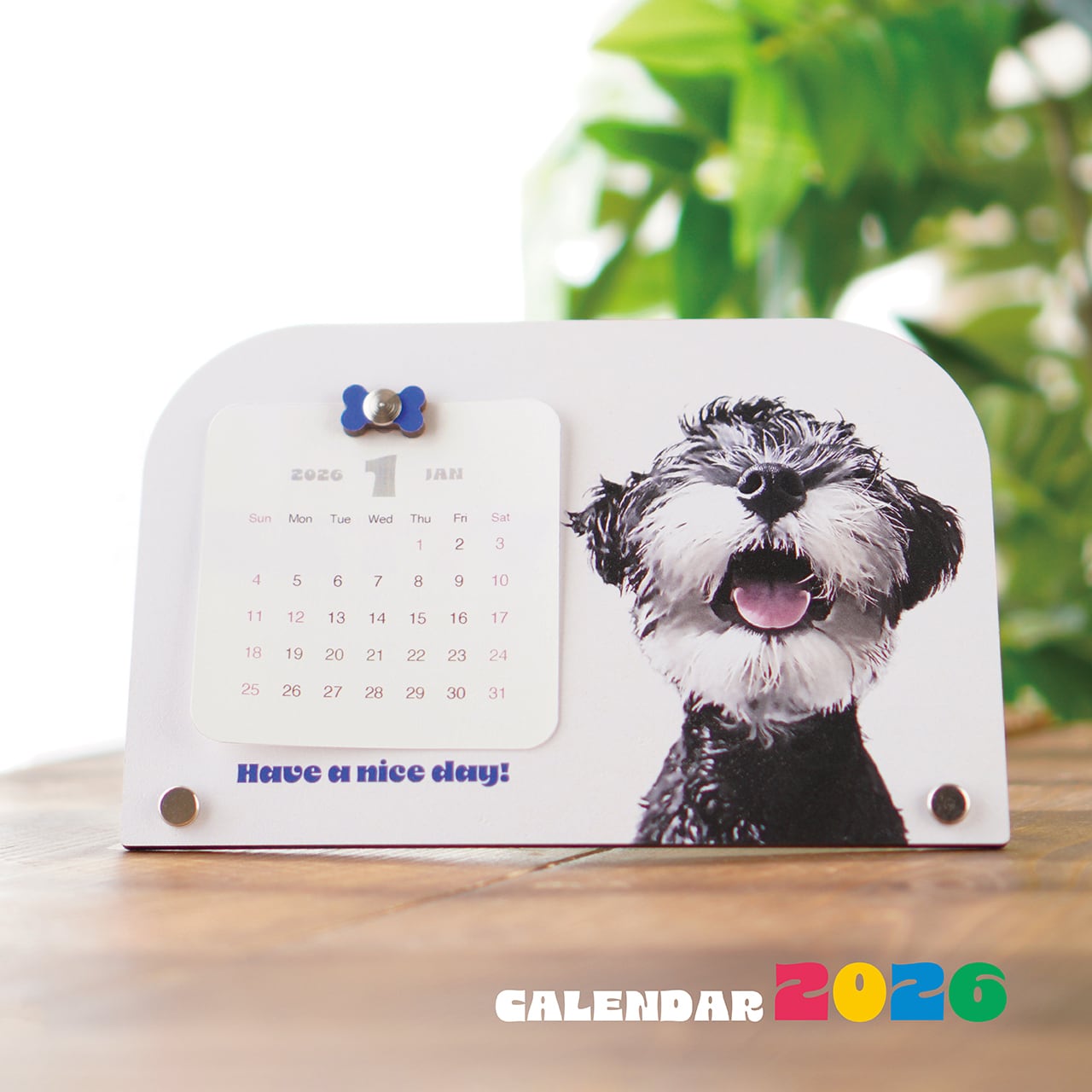 ハンドメイド　オーダー受付ページ　　♡夕涼みわんこ　パネル♡ ハンドメイド オーダー受付ページ ♡夕涼みわんこ パネル