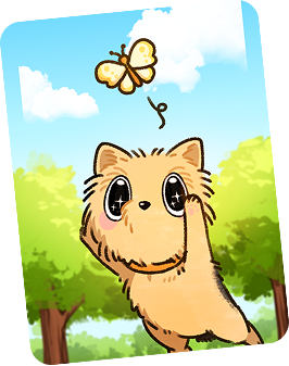 蝶を見つめる犬のカード