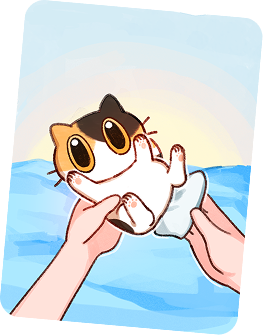 水辺で遊ぶ猫のカード