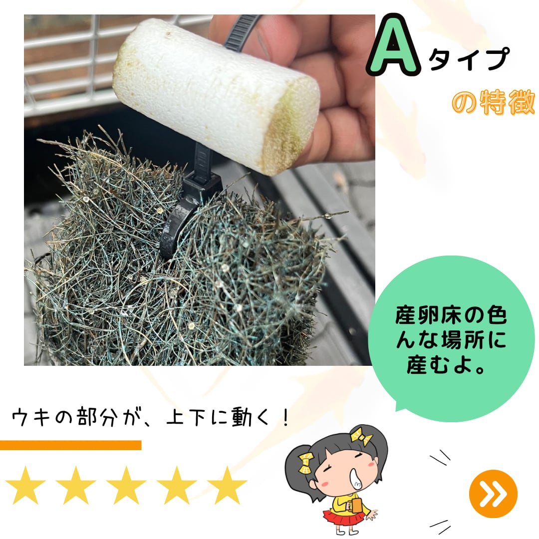 天然ヤシ材のメダカの産卵床【18個入り】Aタイプ