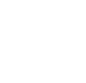 holysaillant